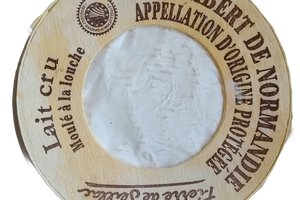 Fromage Cammenbert de Normandie Pierre de Seillac