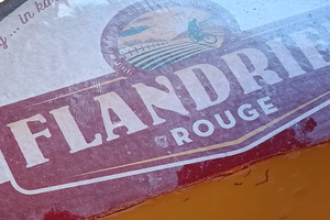 Flandrien rouge