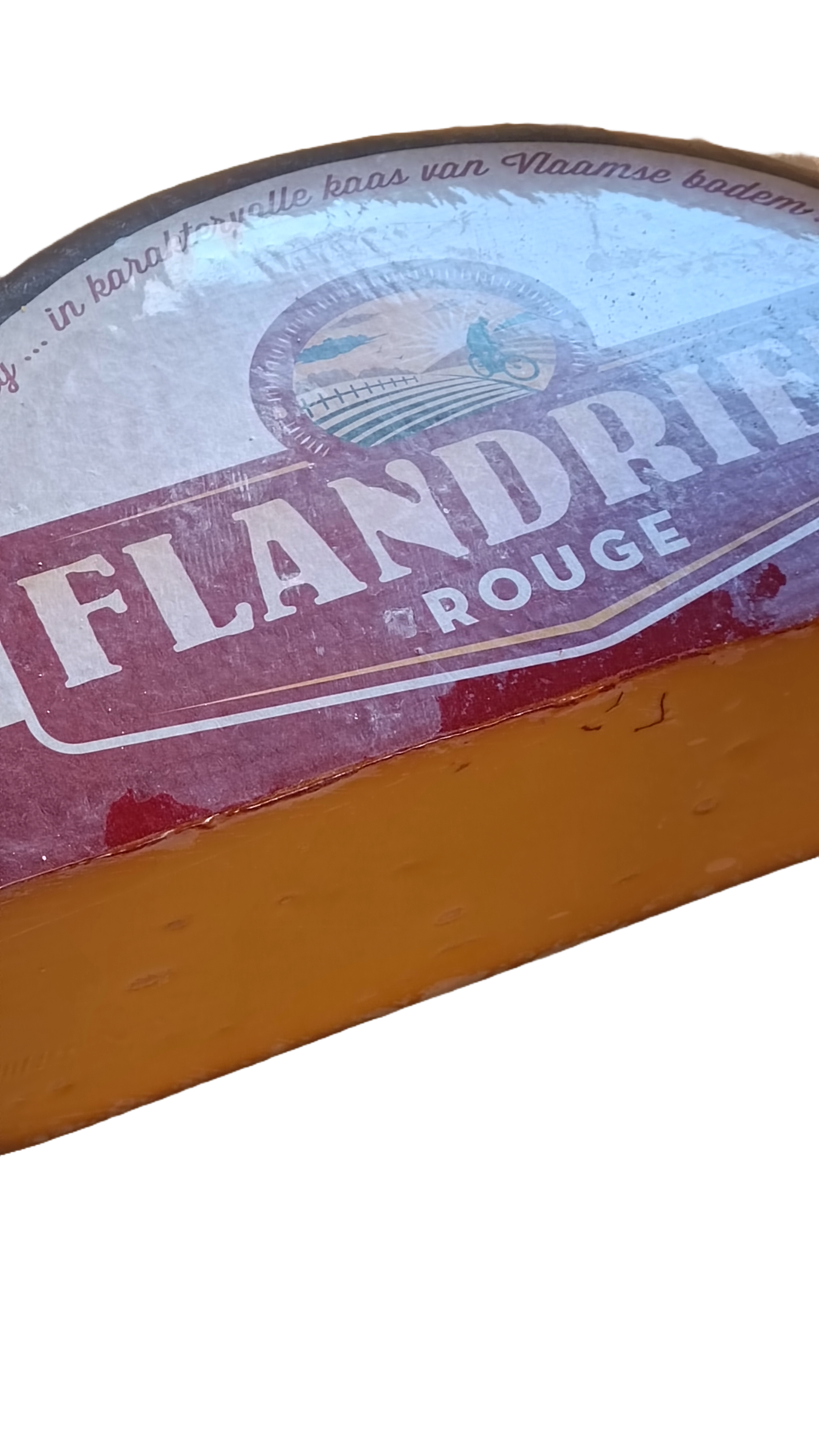 Flandrien rouge