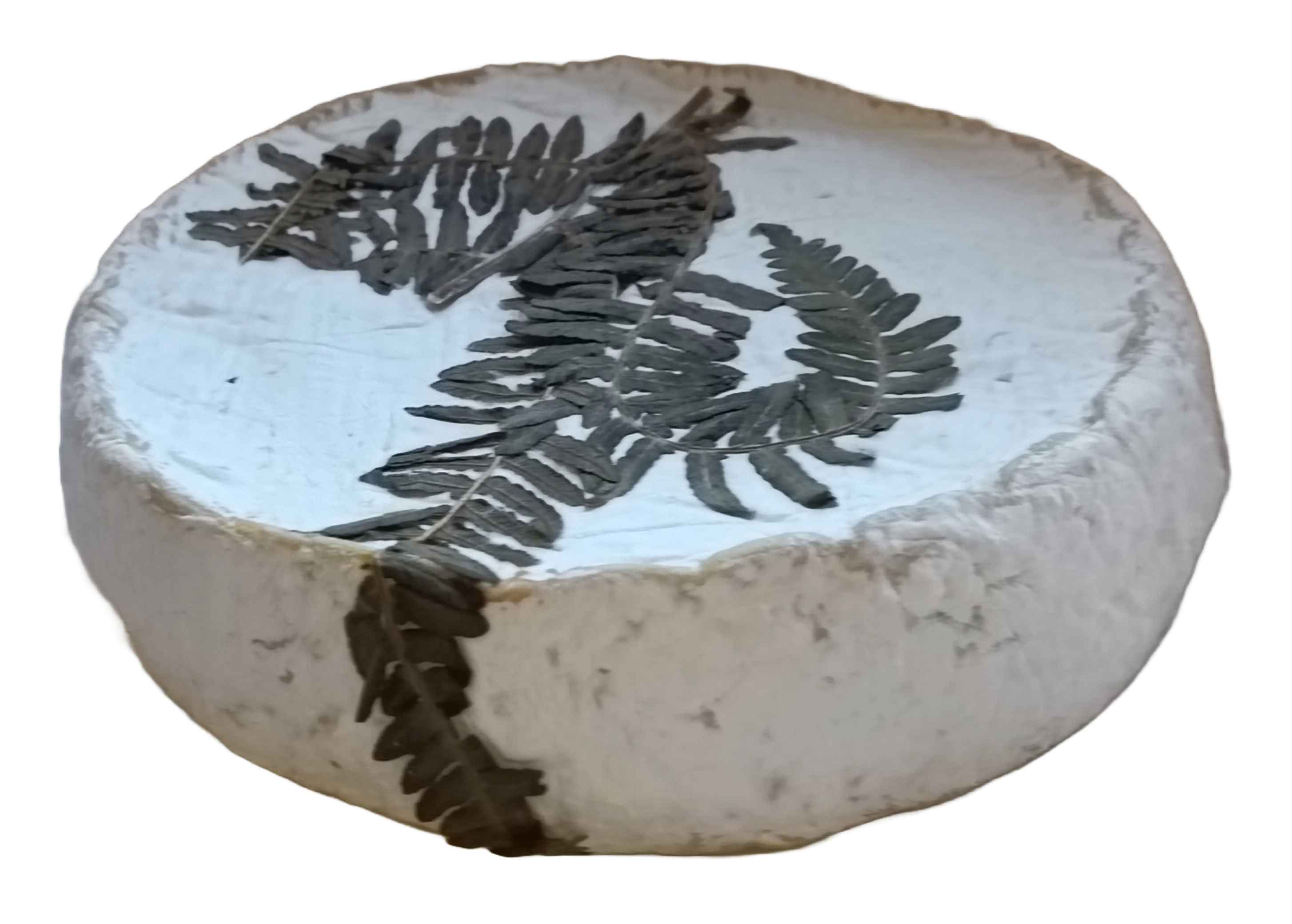 Fromage Fougerus