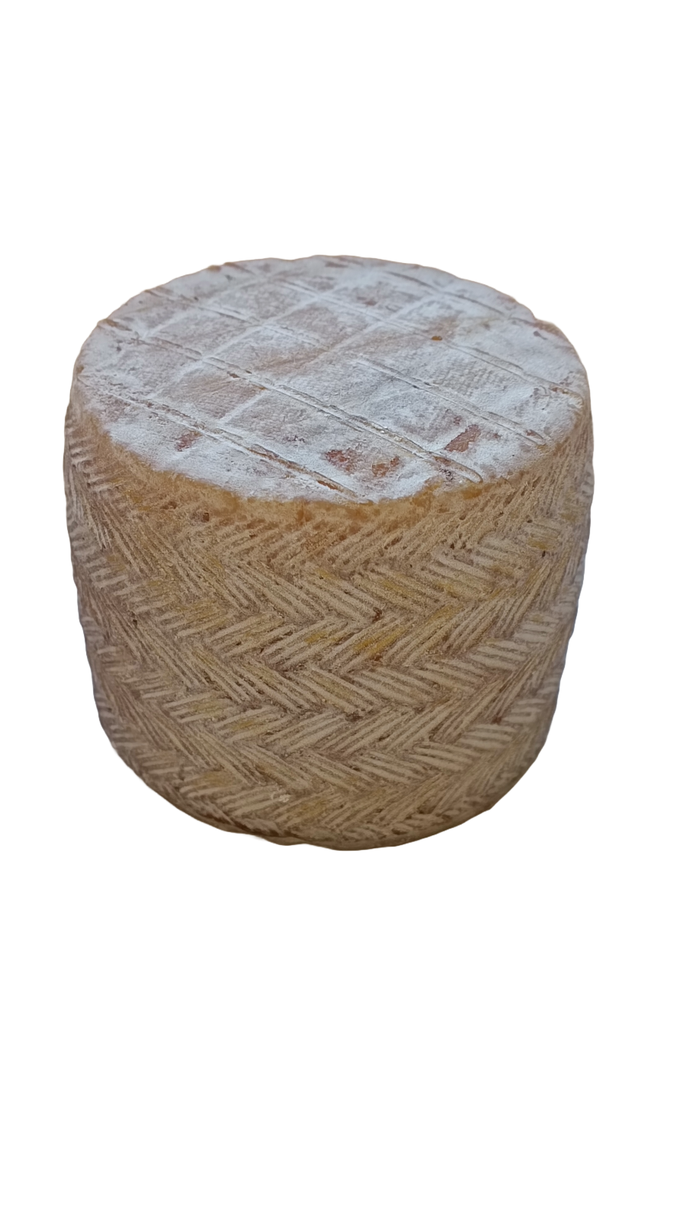 Petit Basque