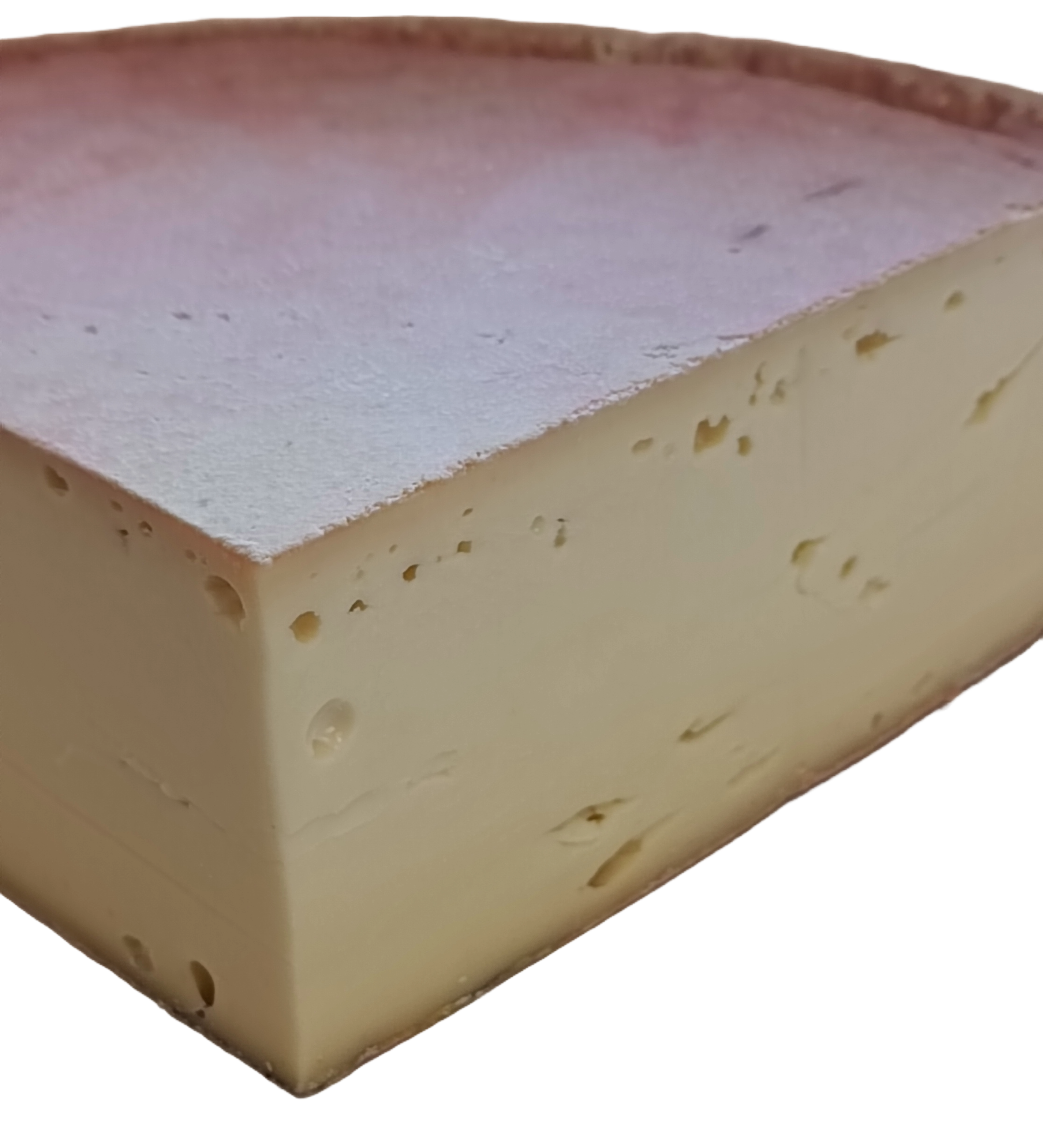 Vacherin du Fribourg